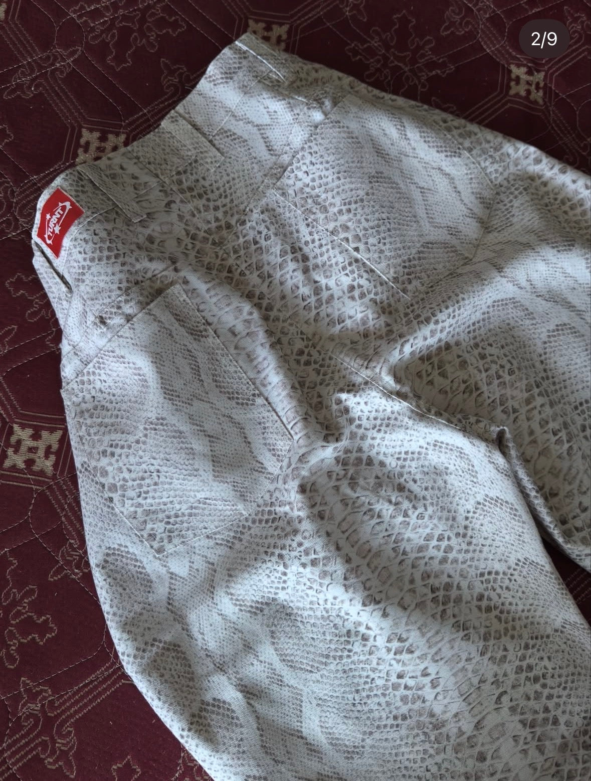 SNAKE PRINT CANVAS PANT